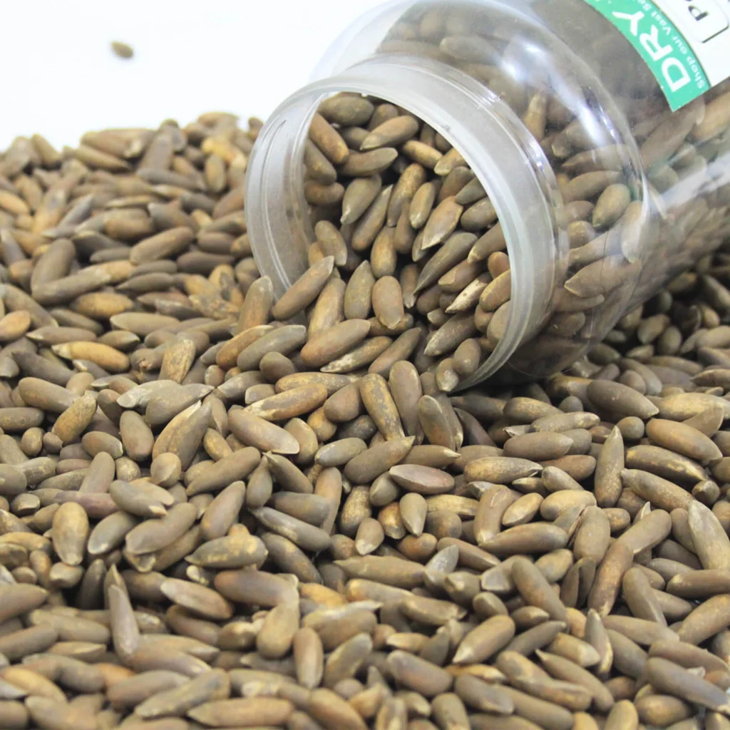 PINE NUTS BENEFITS