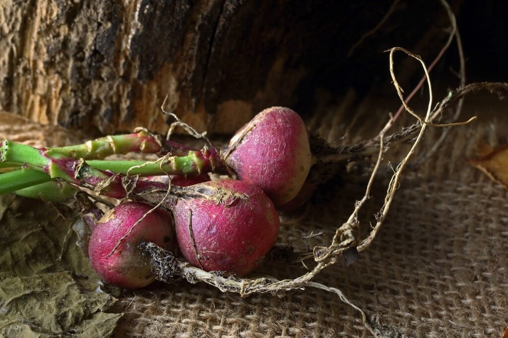 beat root 100gms per day improve blood level