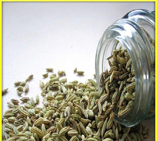 Fennel Seeds Life Benefits for Eyes